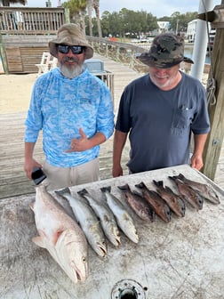 Fishing in Gulf Shores, Alabama