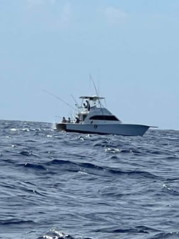 Blue Marlin Fishing in San Juan, Puerto Rico