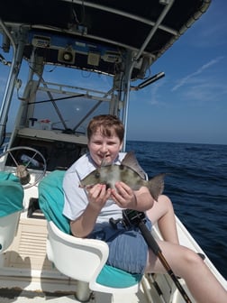 Triggerfish Fishing in St. Marys, Georgia