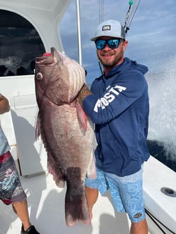 Yellowfin Tuna fishing in Quepos, Provincia de Puntarenas