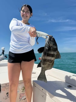 Fishing in Sarasota, Florida