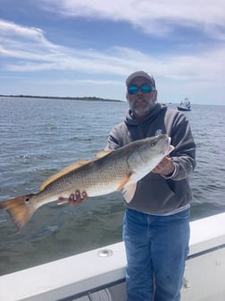 Redfish Fishing in Wanchese, North Carolina
