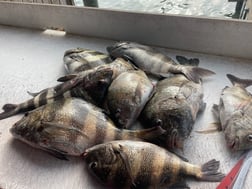 Fishing in Port O'Connor, Texas