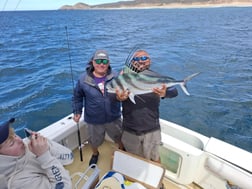 Fishing in Cabo San Lucas, Mexico