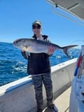 Fishing in Panama City Beach, Florida