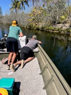 Hunting in Miami, Florida