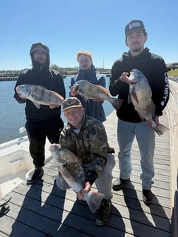 Fishing in Summerdale, Alabama