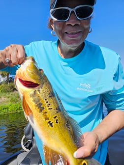 Fishing in Deerfield Beach, Florida