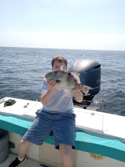 Black Seabass, Triggerfish Fishing in St. Marys, Georgia