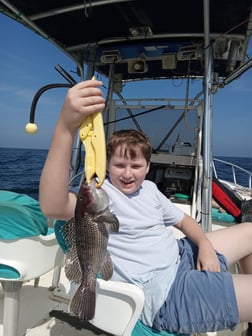 Black Seabass, Triggerfish Fishing in St. Marys, Georgia