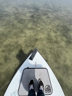 Fishing in Winter Springs, Florida