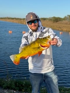 Fishing in Miami, Florida