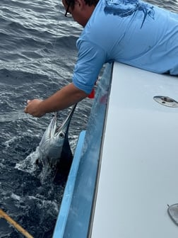 Fishing in Arcadia, Florida