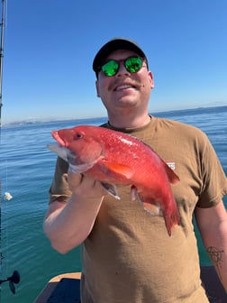 Fishing in Los Angeles, California