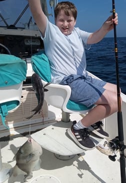 Black Seabass, Triggerfish Fishing in St. Marys, Georgia