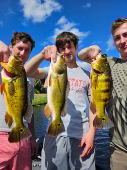 Fishing in Deerfield Beach, Florida