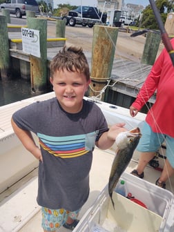Spanish Mackerel, Speckled Trout / Spotted Seatrout fishing in Hatteras, North Carolina
