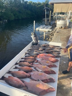 Fishing in Ruskin, Florida