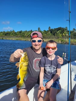 Fishing in Dorado, Puerto Rico