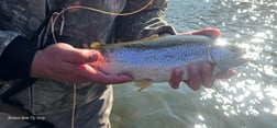 Fishing in Broken Bow, Oklahoma