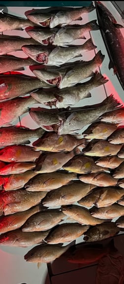 Fishing in Tierra Verde, Florida