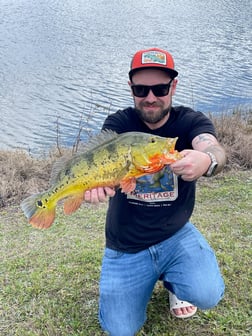 Fishing in Davie, Florida