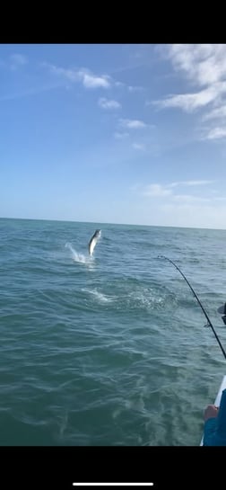 Fishing in New Smyrna Beach, Florida