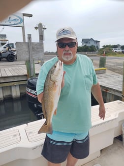 Spanish Mackerel, Speckled Trout / Spotted Seatrout fishing in Hatteras, North Carolina
