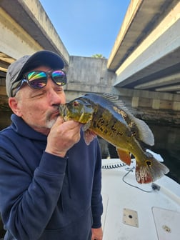 Fishing in Delray Beach, Florida