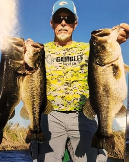 Peacock Bass Fishing in Okeechobee, Florida, USA