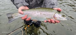 Fishing in Broken Bow, Oklahoma