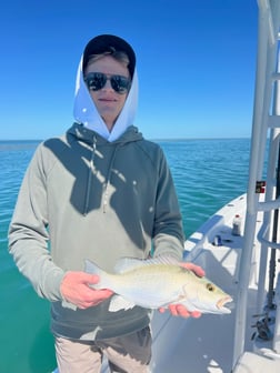 Fishing in Summerland Key, Florida