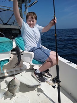 Triggerfish Fishing in St. Marys, Georgia