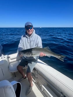 Fishing in Dennis, Massachusetts