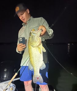 Striped Bass Fishing in Graford, Texas