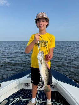 Fishing in Dauphin Island, Alabama
