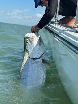 Fishing in Marco Island, Florida