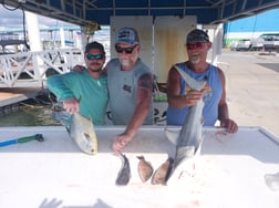 Fishing in Fort Myers Beach, Florida
