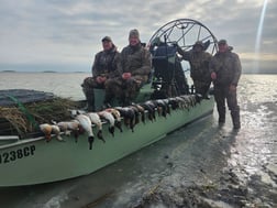 Fishing in Woodruff, Wisconsin