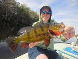 Hunting in Fort Lauderdale, Florida