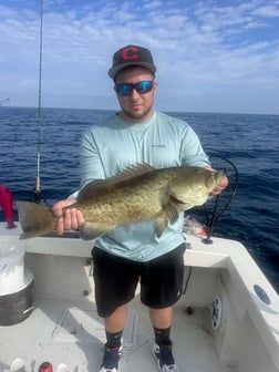 Fishing in Bradenton, Florida