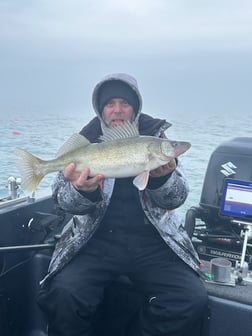 Fishing in Lakeside Marblehead, Ohio