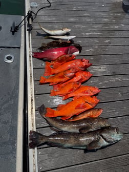 Fishing in Ventura, California