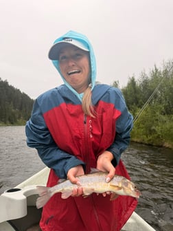 Fishing in Sheridan, Montana