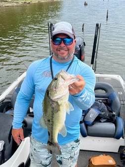 Fishing in Dardanelle, Arkansas