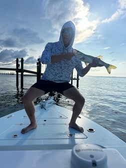 Fishing in Fort Myers Beach, Florida