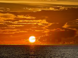 Blackfin Tuna fishing in Key West, Florida
