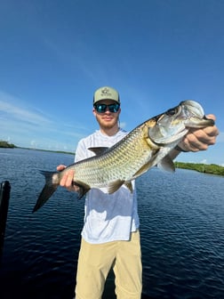 Fishing in Punta Gorda, Florida
