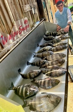 Fishing in D'Iberville, Mississippi