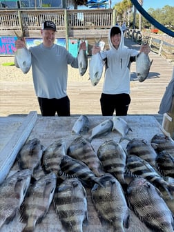 Fishing in Gulf Shores, Alabama